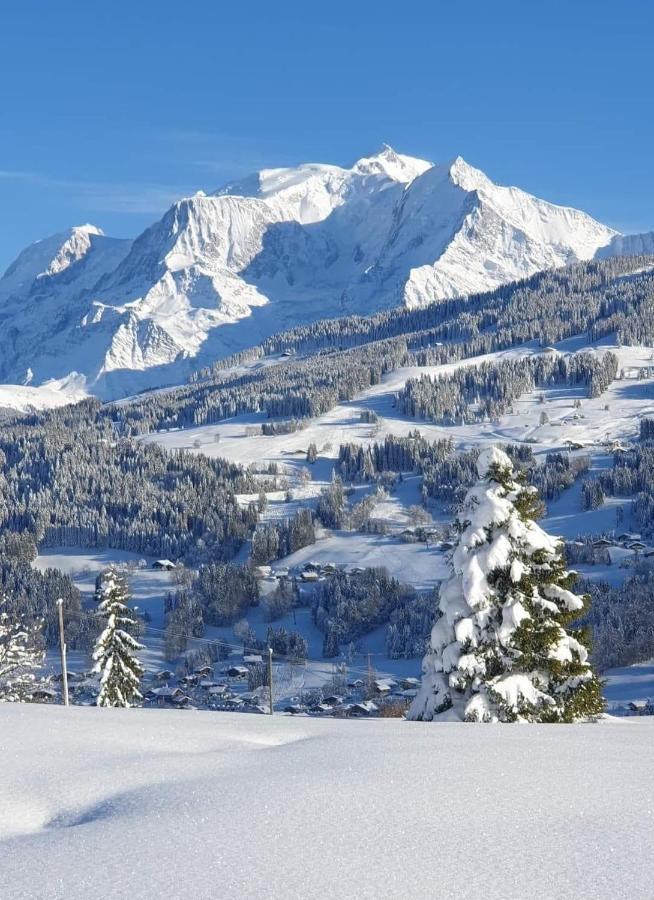 Le Sapin B19 Megeve - Demi Quartier Apartment Bagian luar foto